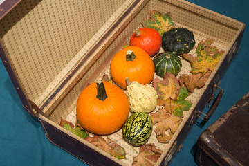 Pumpkins in the old suitcases / Autumn and Halloween concept