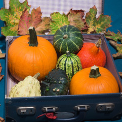 Pumpkins in the old suitcases / Autumn and Halloween concept