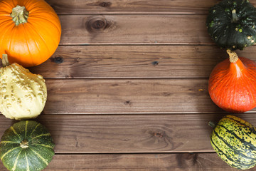 Pumpkins, different types,good for eat and decorative / place for a text