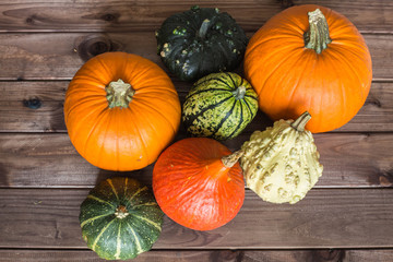 Pumpkins, different types,good for eat and decorative with place for text