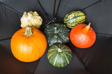 Autumn pumpkins on the background of an umbrella / Autumn and Halloween concept