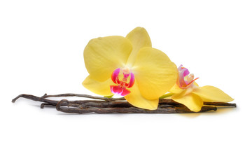 Vanilla pod with flowers isolated on white