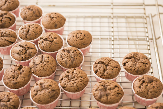 Baked cupcakes on cooling rack - Powered by Adobe