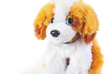 Cute toy dog on white background