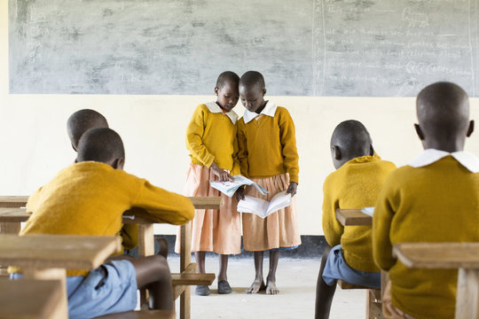Students studying together in the classroom