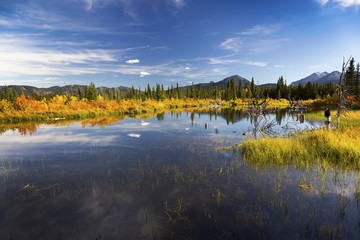 Autumn Landscape in Bow Valley Provincial Park as Colors are changing in Alberta Foothills near...