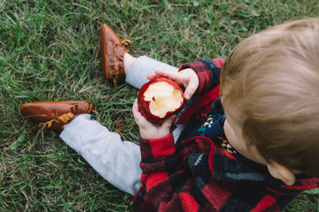 Toddler Eating Apple