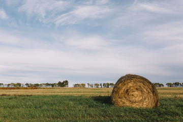 Haystack on North Dakota Farm