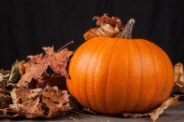 Halloween pumpkin on a black background