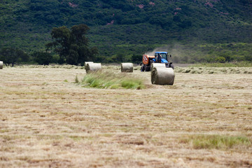 A tractor drives through a field, clearing the grass as it goes. KZN, South Africa.