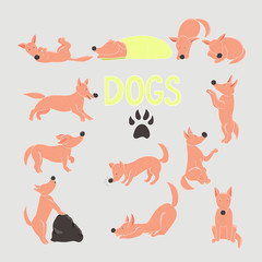 Cartoon dogs set. Twelve red dogs in different poses.