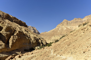 Judea desert landscape.