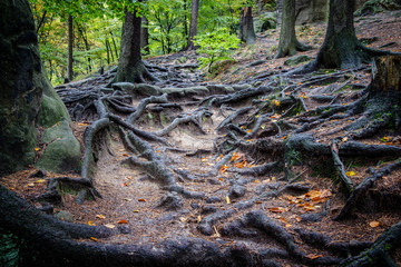 Schauenstein Castle is a rock castle near Hohenleipa in the Bohemian Switzerland in the Czech...