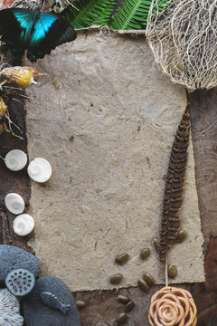 Scrapbooking Craft Natural Materials