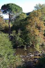 Aude river in autumn, Occitanie in South of France