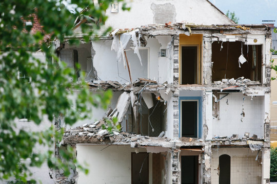 Partially Demolished Building Framed by Tree