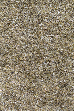 Chamomile background