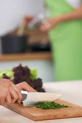 Close-up of human hands cooking vegetables salad in kitchen. Healthy meal and vegetarian concept