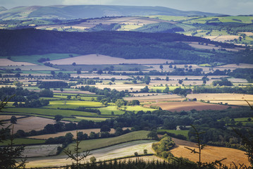 Aerial View of British Countryside Fields