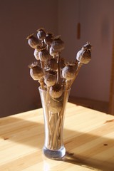 Vase et graine de pavot