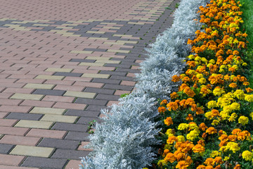 Paving pattern with rectangular shape and brown color. Along paved walkways planted flowerbed with...