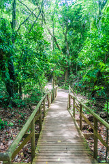 Fototapeta na wymiar Boardwalk in National Park Manuel Antonio, Costa Rica
