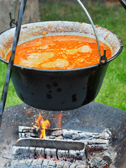 Garden party. Kettle with goulash on tripod over fireplace.