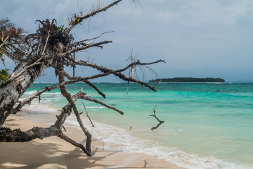 Coast of Isla Zapatilla island, part of Bocas del Toro archipelago, Panama
