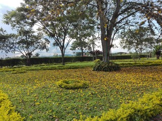 ciudad, cielo, mar y flores