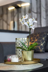 White orchid flower on the table