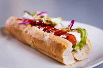 Fresh homemade hot dog