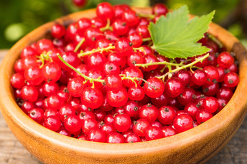 Ripe Red Tasty Berry Of Currant In Wooden Bowl Top View And Close Up.