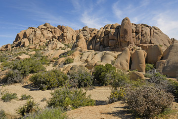 Desert Panorama on a Spring Day