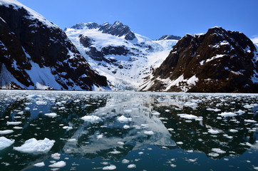 Fototapeta na wymiar Tidewater Glacier in Kenai Fjords NP