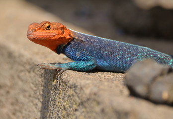 I'll be watching you