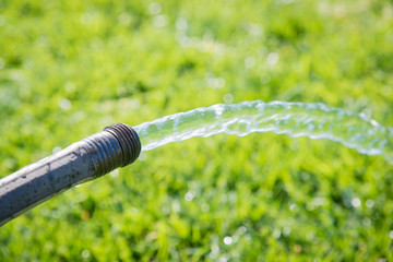 watering lawn with hose