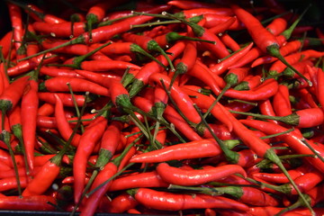 pepper