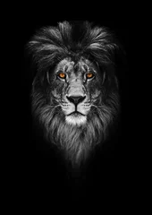 Gordijnen Portret van een mooie leeuw, leeuw in het donker © Baranov
