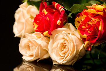 Colorful, beautiful, delicate roses with details and reflexions
