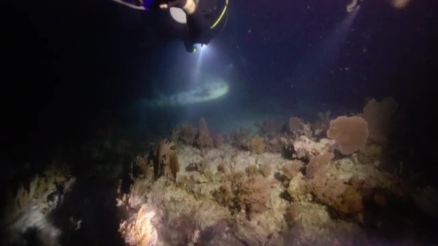 Group of scuba divers exploring deep dark ocean with flashlights