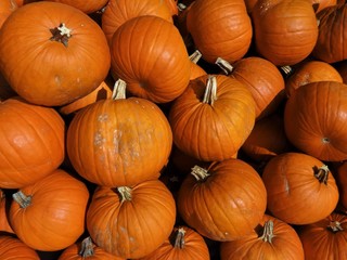 Pumpkin pile in a market for the holidays