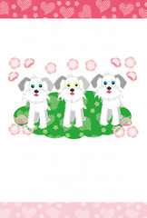 可愛い三匹の犬のイラストのメッセージカード