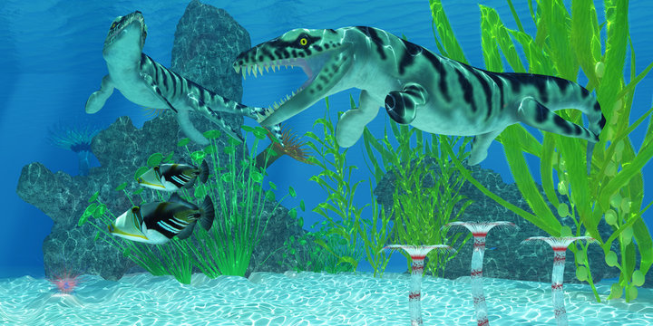 Dakosaurus Marine Habitat - Two Picasso Triggerfish swim away from the Dakosaurus marine reptiles who may threaten their existence.