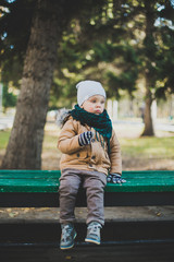 a little boy playing in autumn forest, collecting leaves