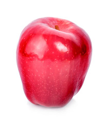 red apples on a white background