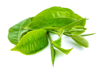tea leaf isolated on white background