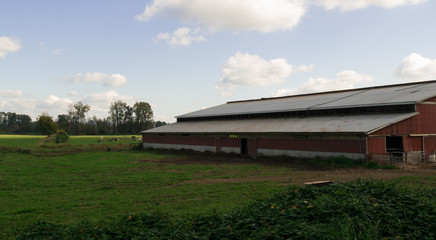 Fototapeta na wymiar Industrial Barn and Field 