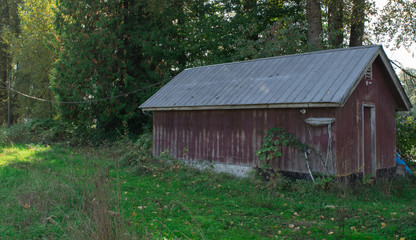 Red Shed at the Side of the Road