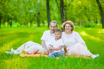 Fototapeta premium Portrait of an elderly couple with her grandson on a picnic outdoors