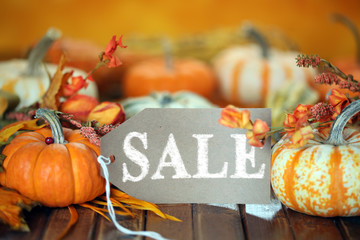Autumn pumpkins with sale tag background